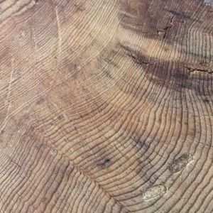 Meet your Posher, Liz